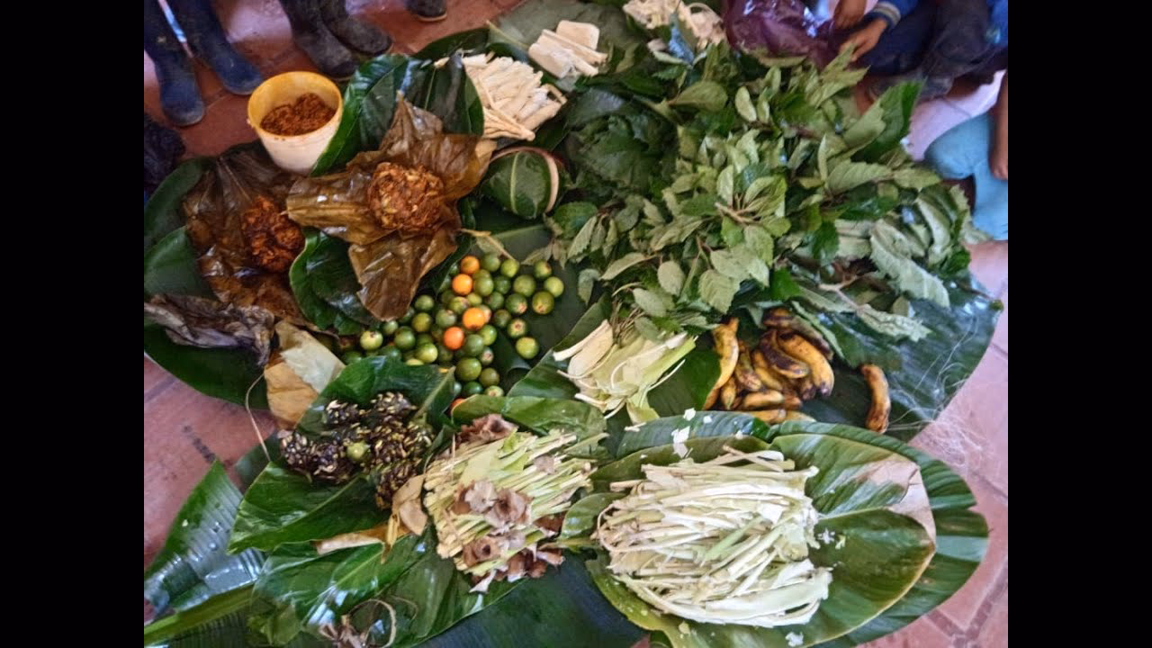 ¿Dónde viven los indígenas UWA?