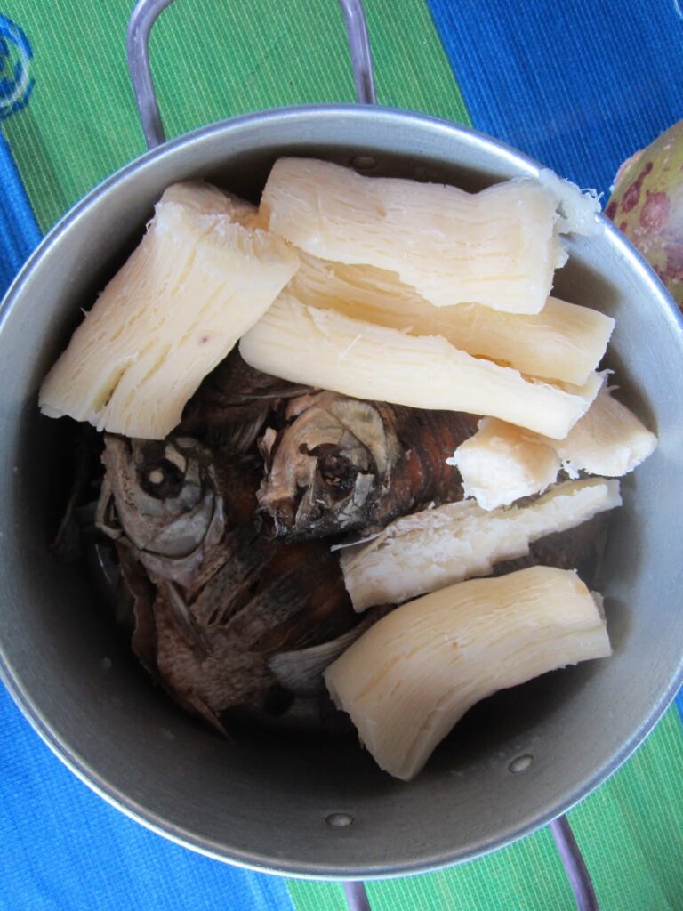 Las Fascinantes Costumbres del Pueblo Zenú | Nautilus