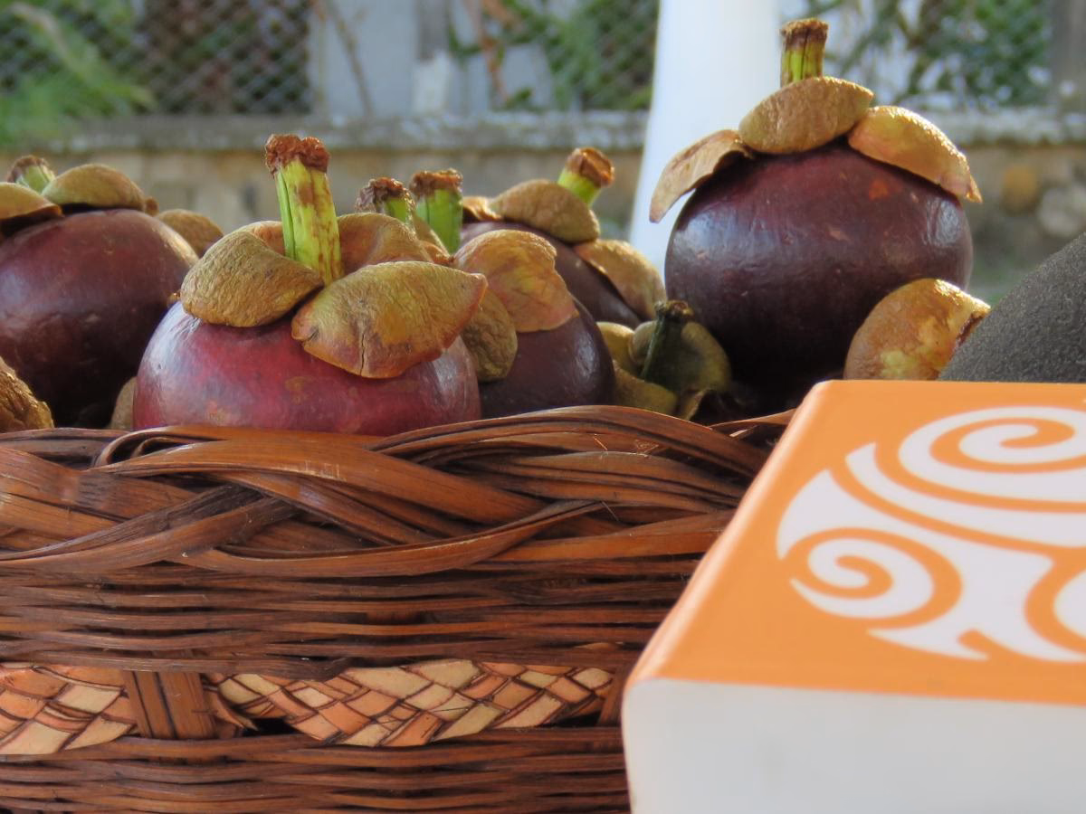 ¿Qué se da en Mariquita, Tolima?