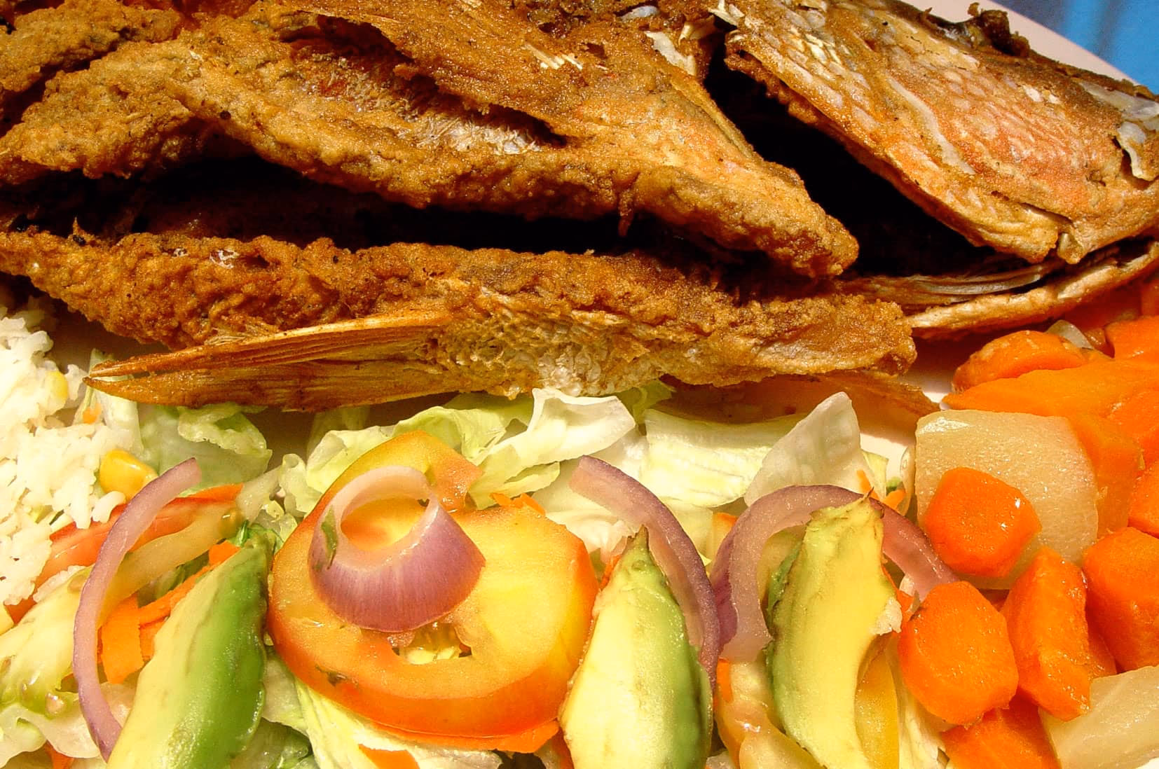 ¿Qué hacer en Mulegé, BCS?