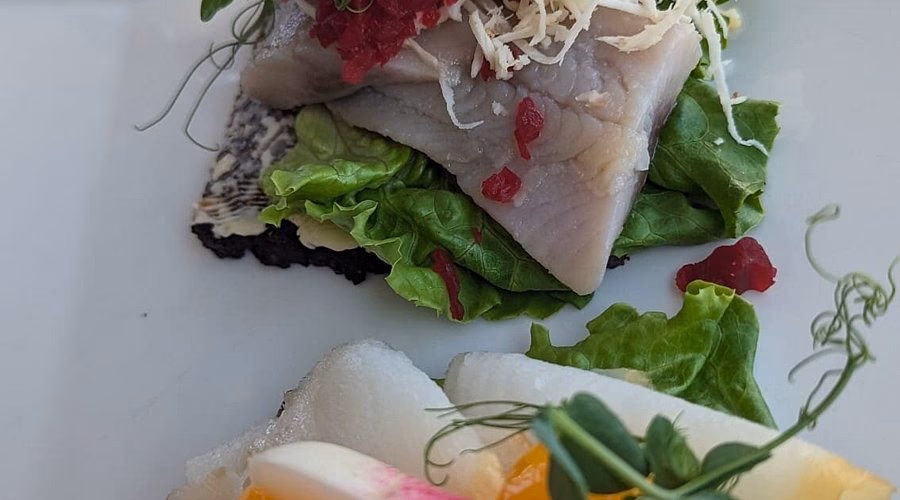 ¿Qué comida se come en Groenlandia?