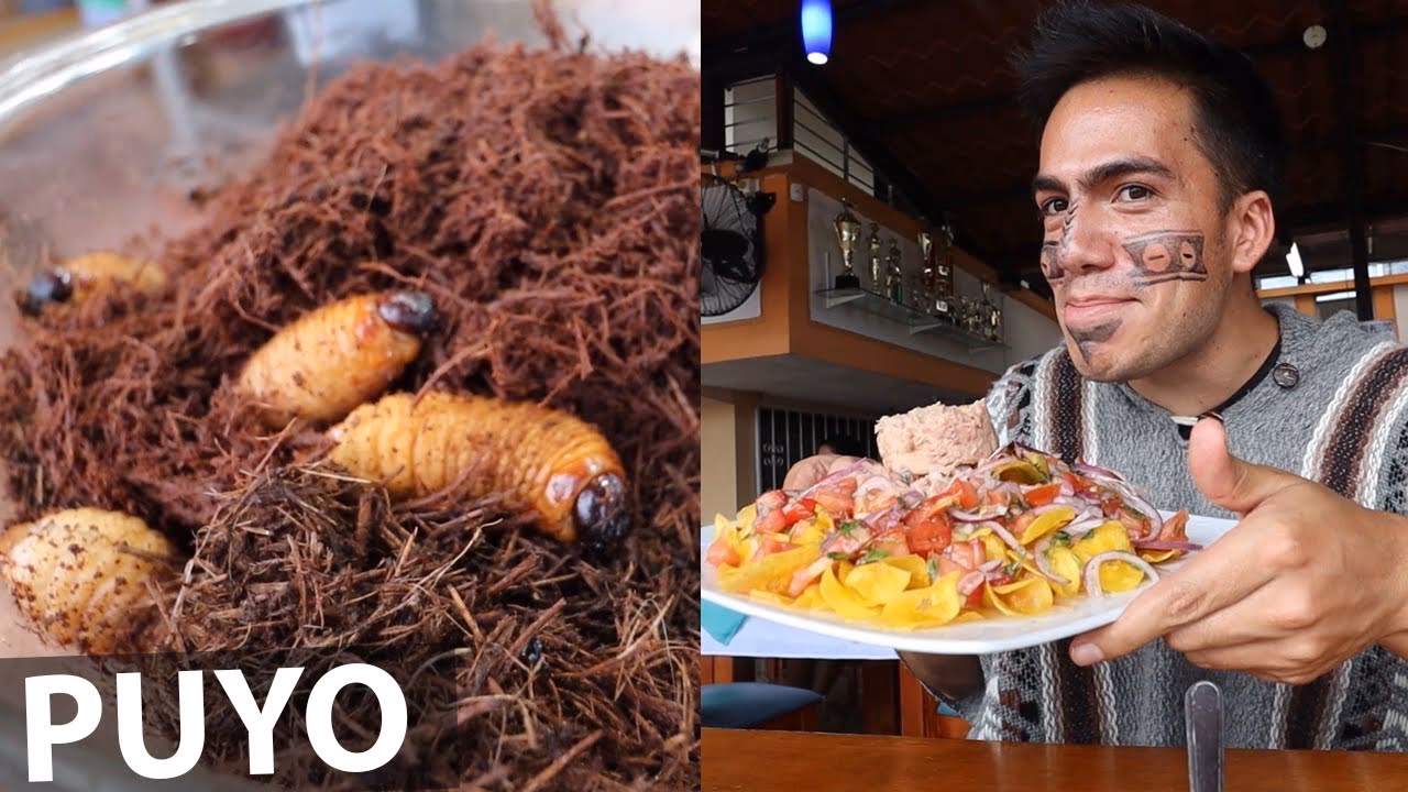 ¿Cómo es conocido el puyo?