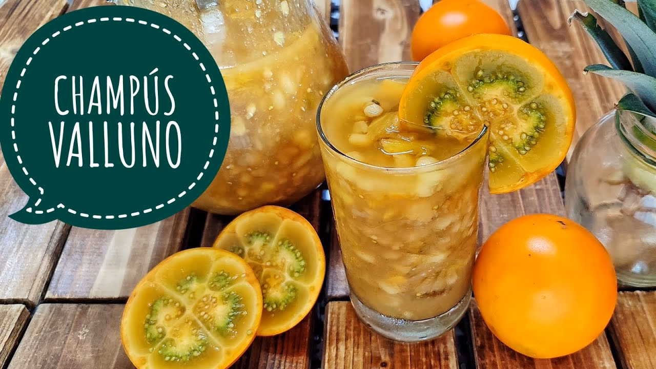 ¿Qué es la comida champú?