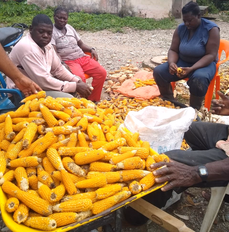 ¿Cuál es el origen del maíz en Colombia?