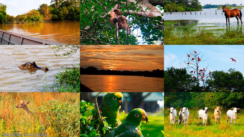 ¿Cuál es la historia de Orocué, Casanare?