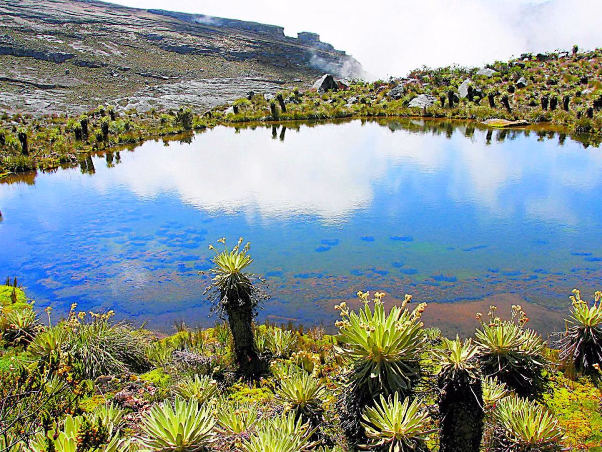 ¿Qué es el jorobo?