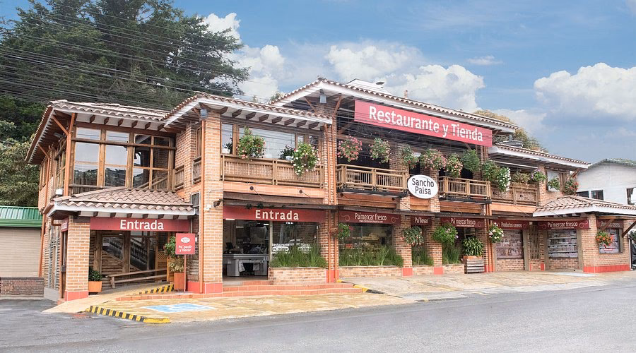 ¿Qué son las palmas en Medellín?