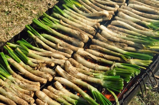 ¿Cuáles son algunos productos típicos de Tarragona?