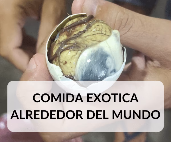 ¿Qué carne no comen en Marruecos?