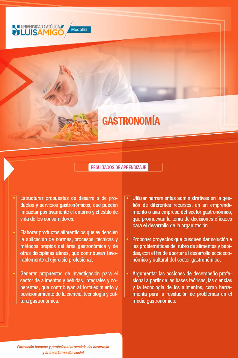 ¿Qué tan buena es la Luis amigo?