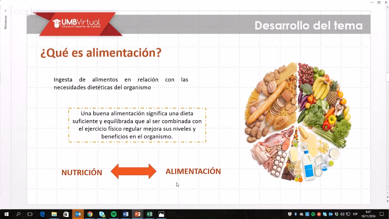 ¿Cuáles son los 5 tipos de nutrición?