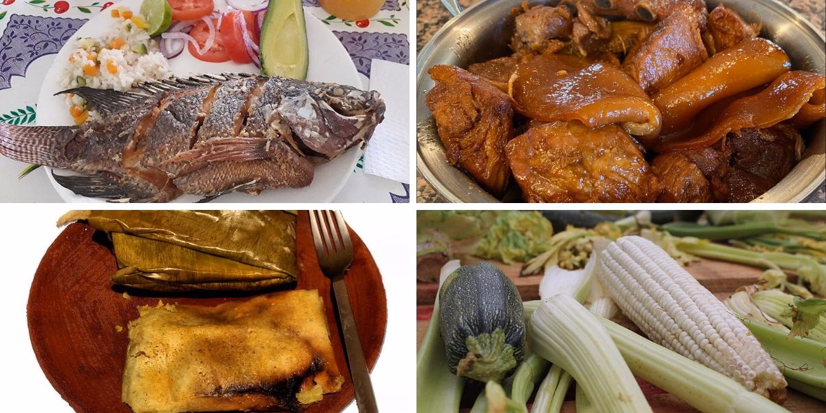 ¿Qué platillos comían los olmecas?