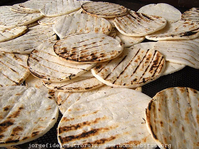 ¿Qué significa paicol?