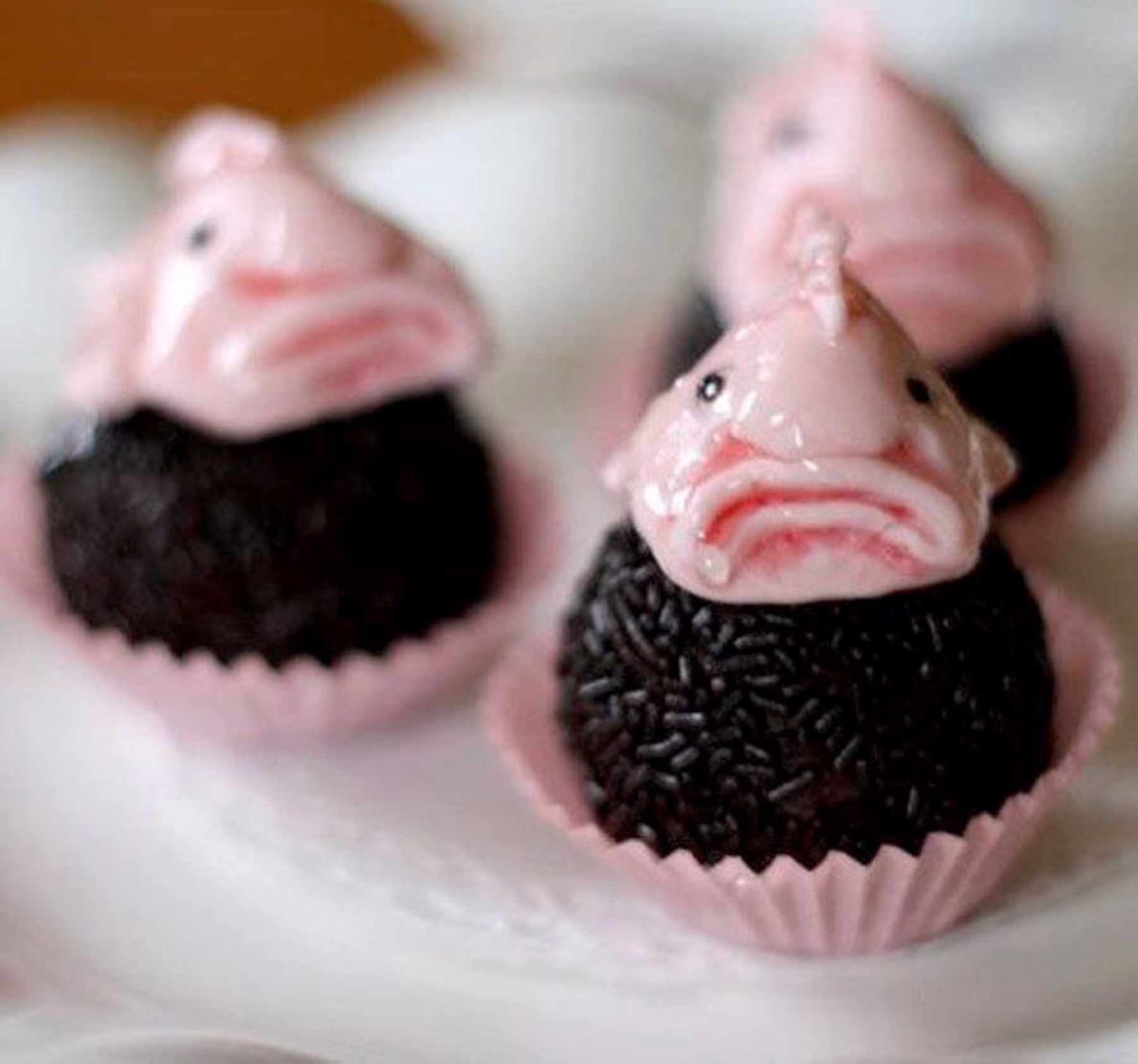 ¿Es comestible el pez borrón?