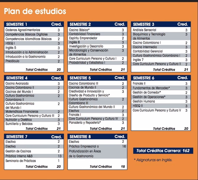 ¿Cuál es el plan de estudios de la carrera de gastronomía?