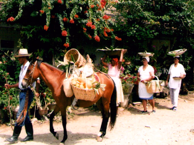¿Cuál es el municipio más rico del Valle del Cauca?