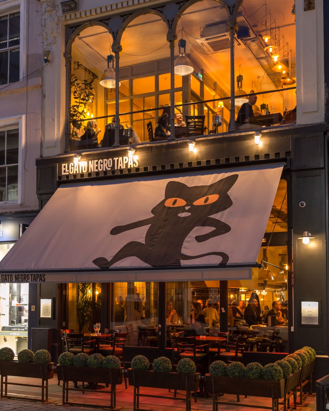 ¿Dónde sucede el gato negro?