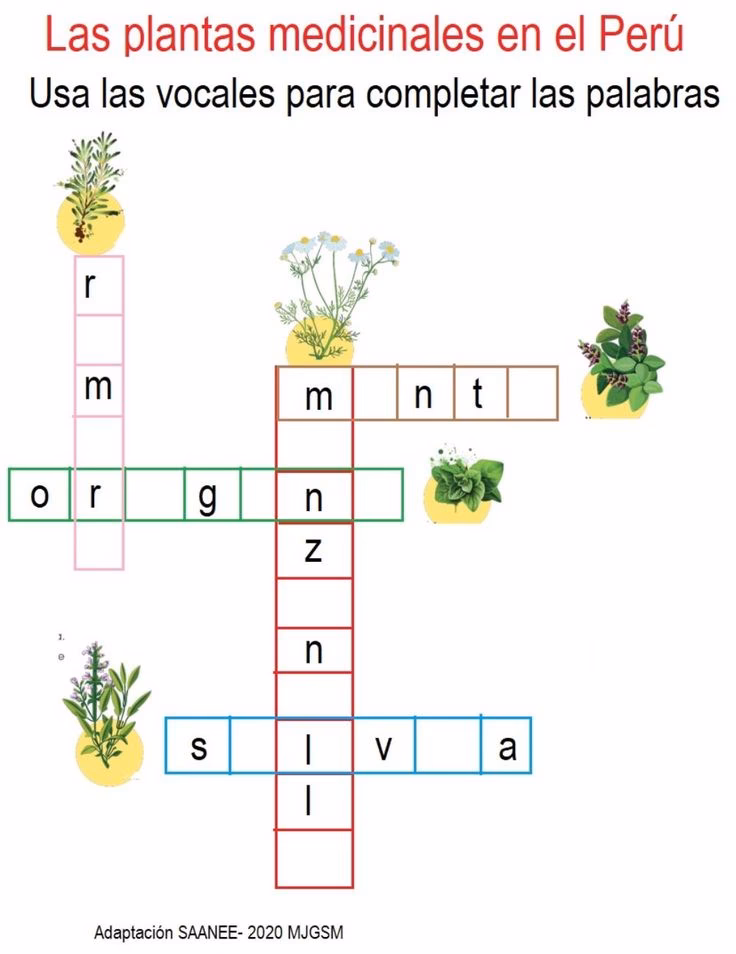 ¿Cuáles son algunos nombres de hierbas aromáticas?
