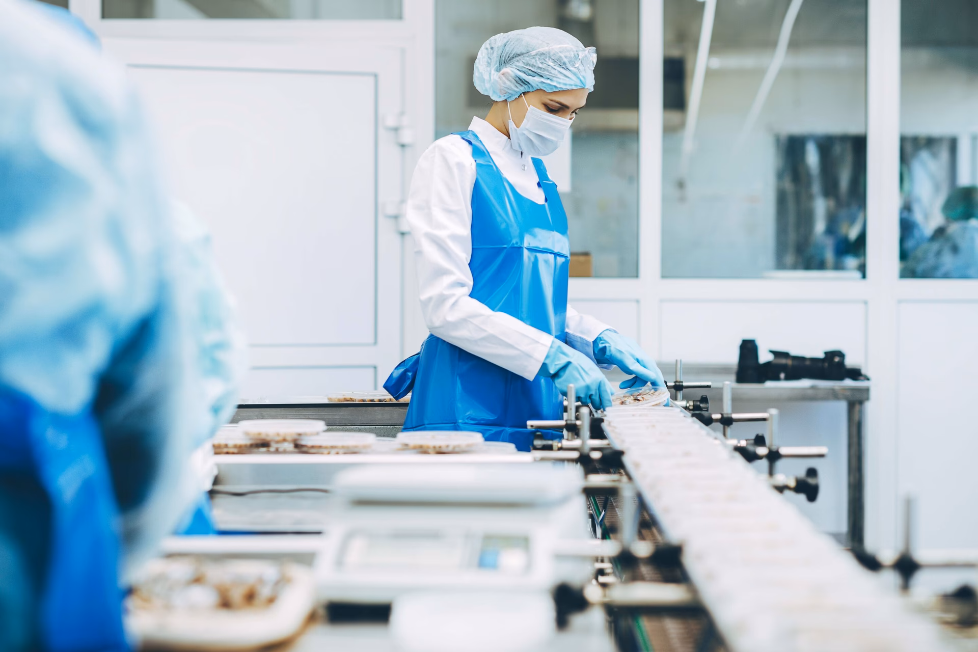 ¿Cuáles son los 4 tipos de higiene?