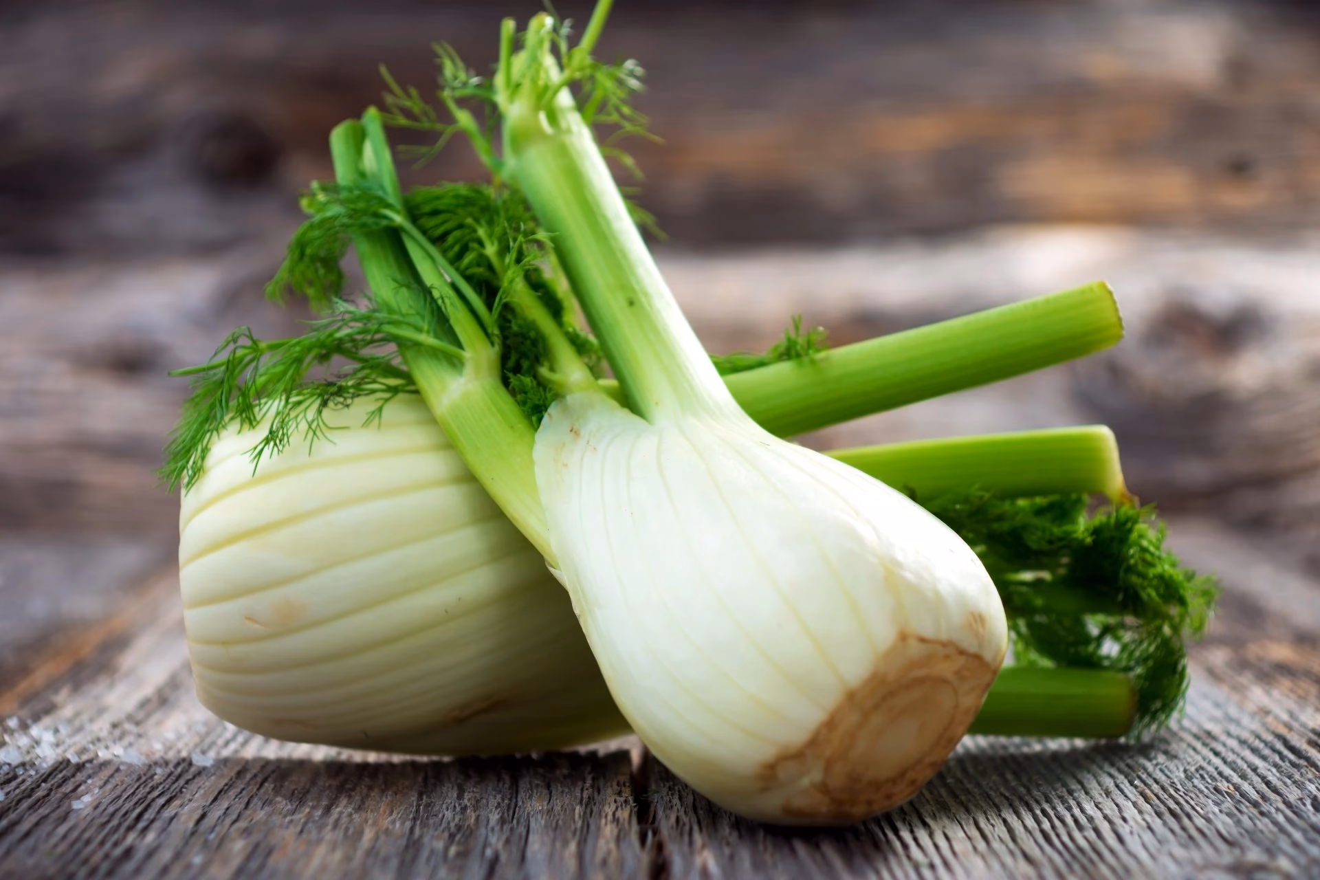 ¿Cómo se utiliza el hinojo en la cocina?