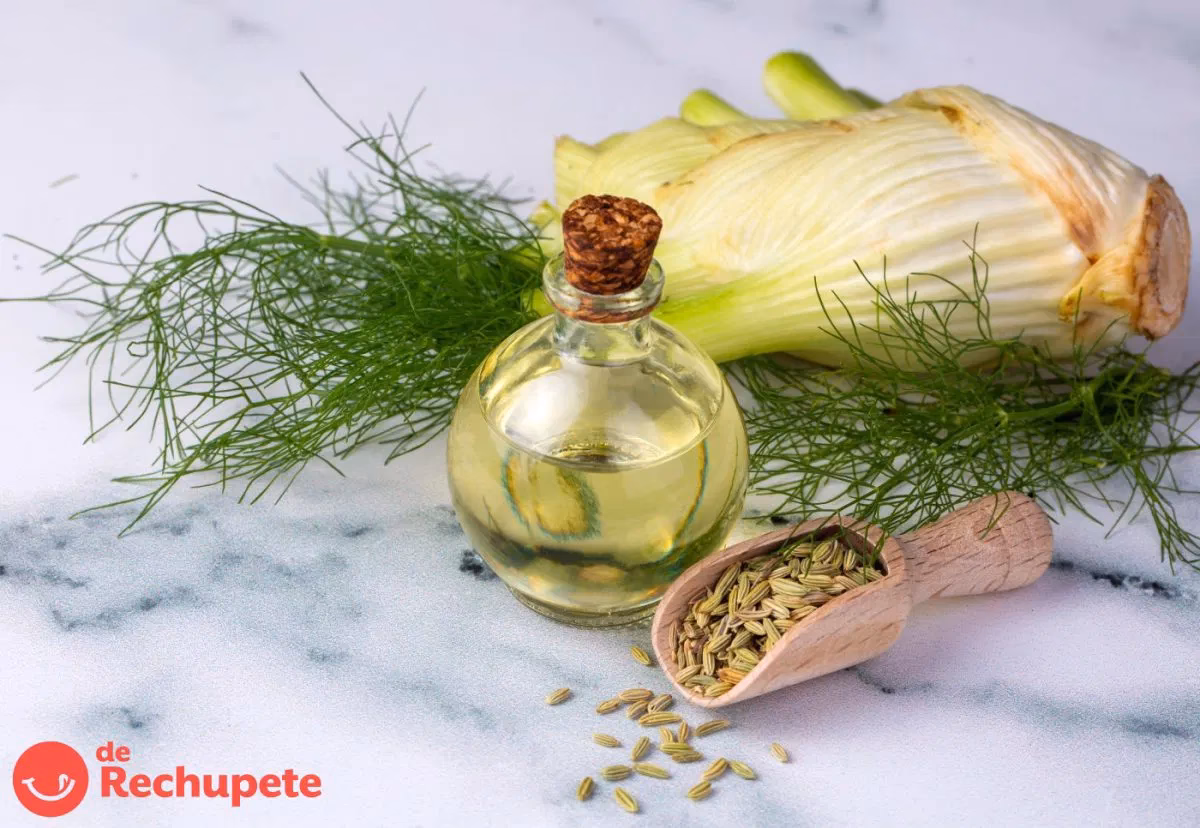 ¿Por qué los chefs utilizan tanto el hinojo?