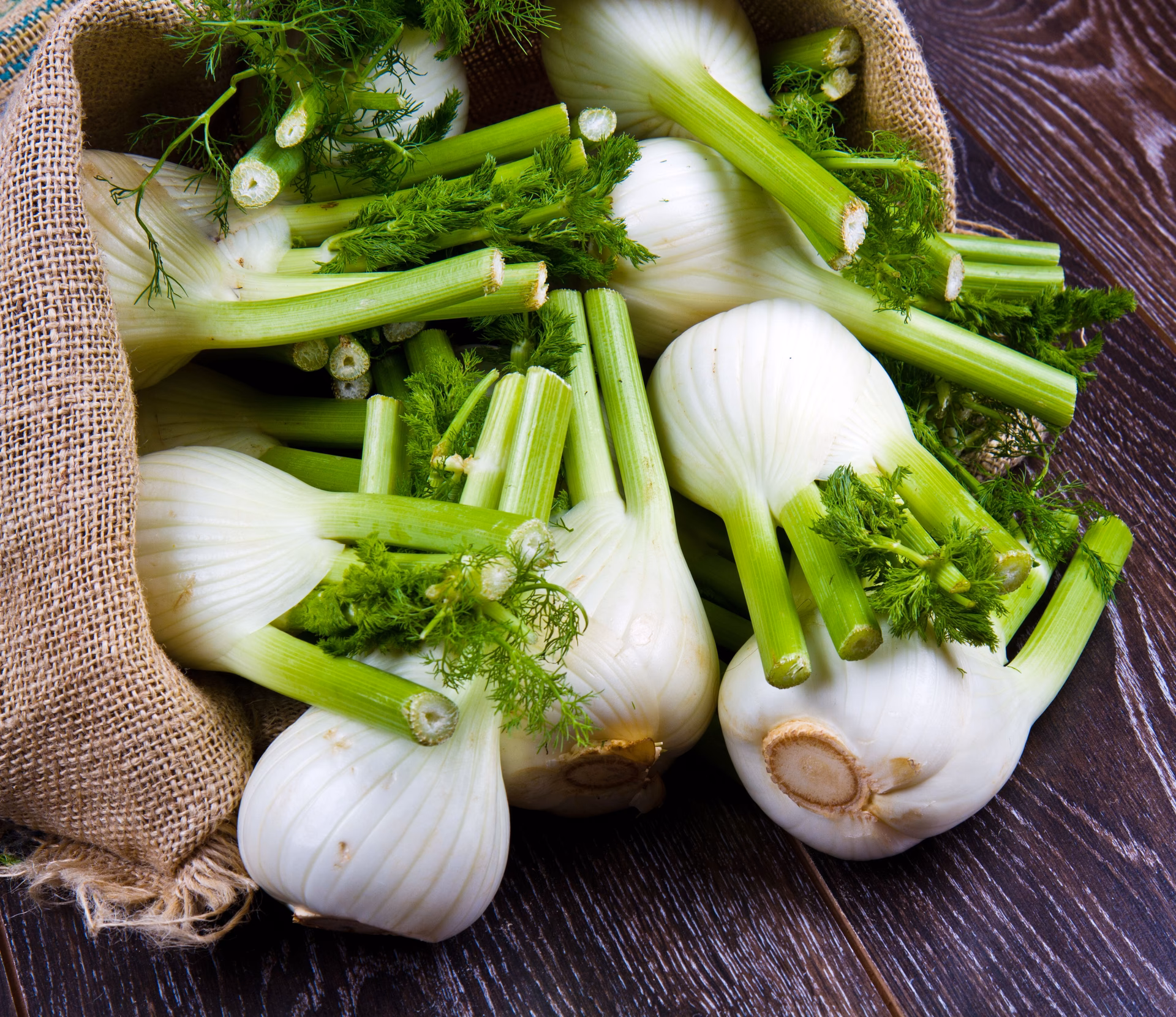 ¿Qué usos se le dan al hinojo?