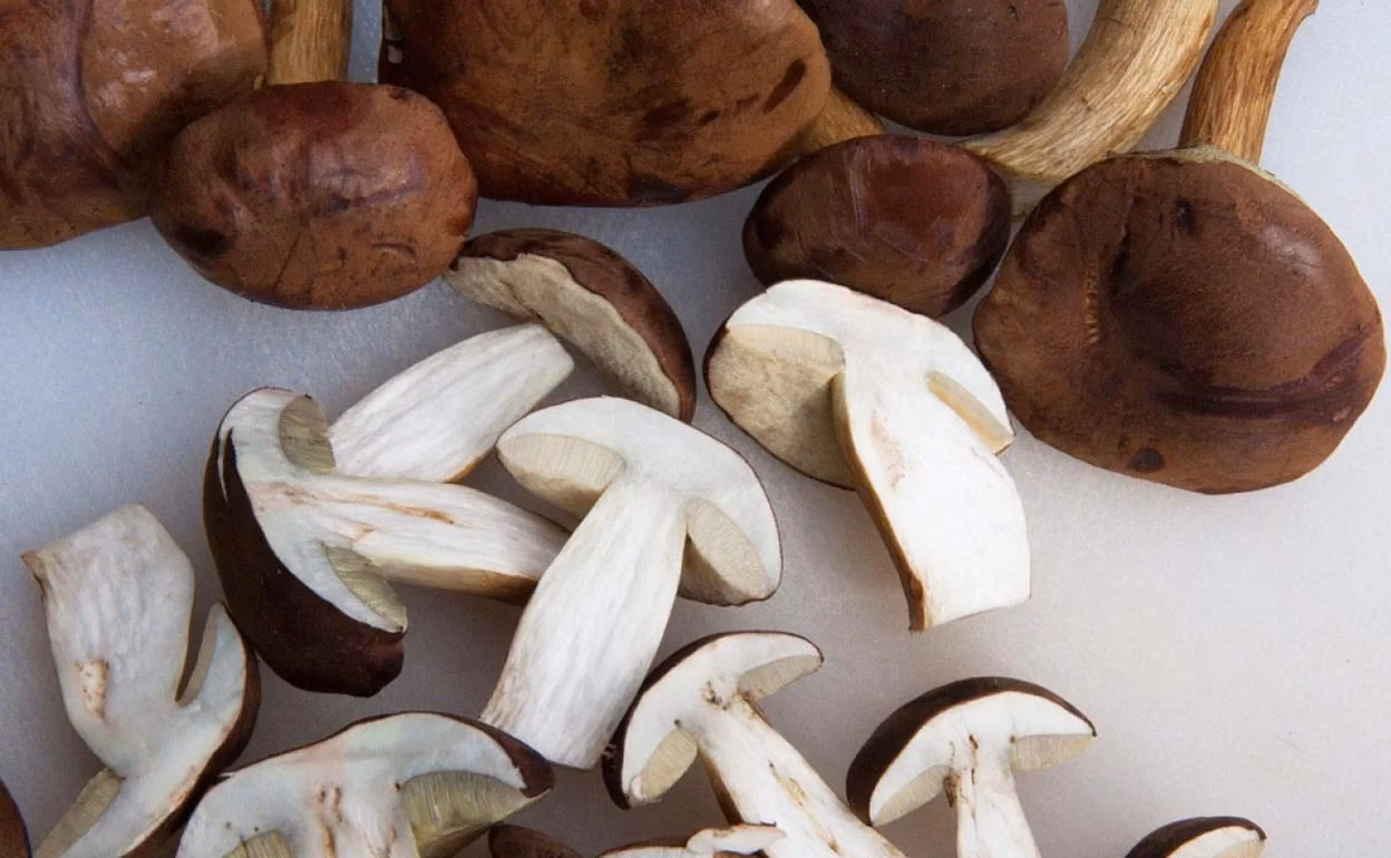 ¿Cuál es la historia de los hongos comestibles?