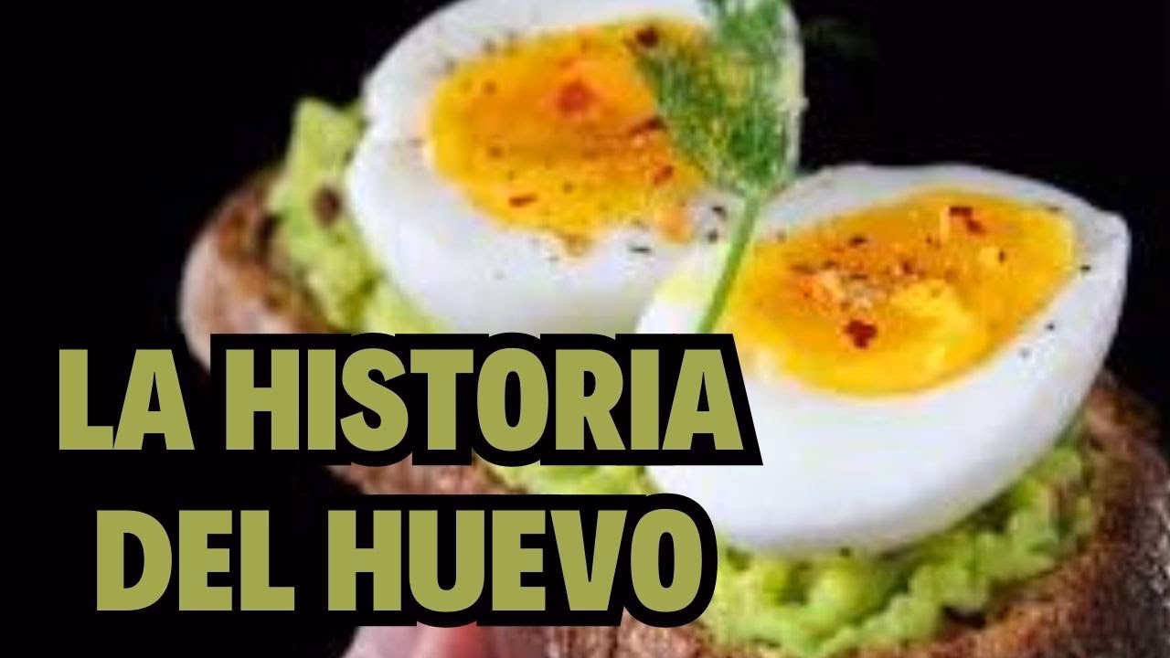 ¿Dónde se originó el huevo?