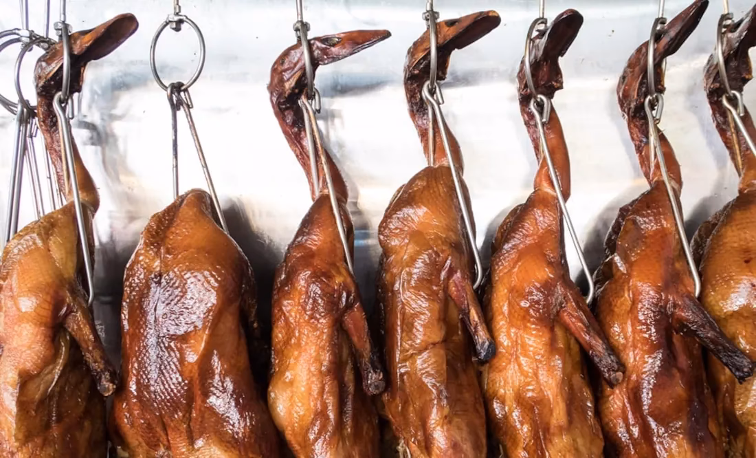 ¿Dónde se originó el pato?