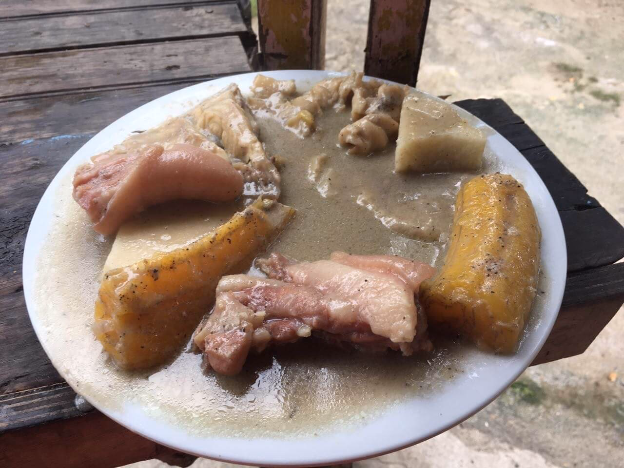 ¿Cómo es la fauna en la Región Insular?