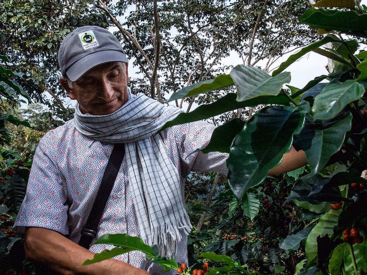 ¿Qué es lo típico de Pitalito?