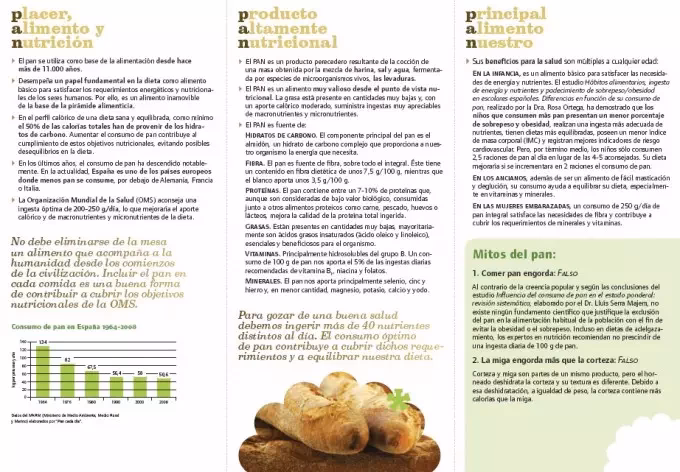 ¿Cuál es la importancia del pan como alimento?