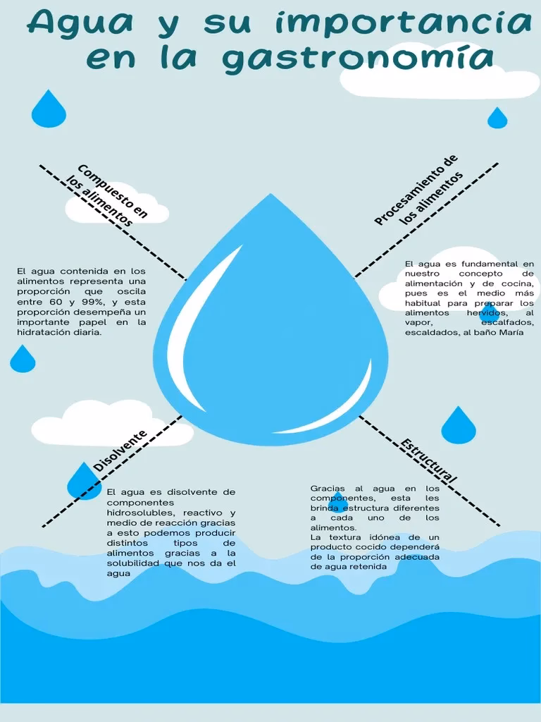 ¿Qué importancia tiene el agua en la alimentación?