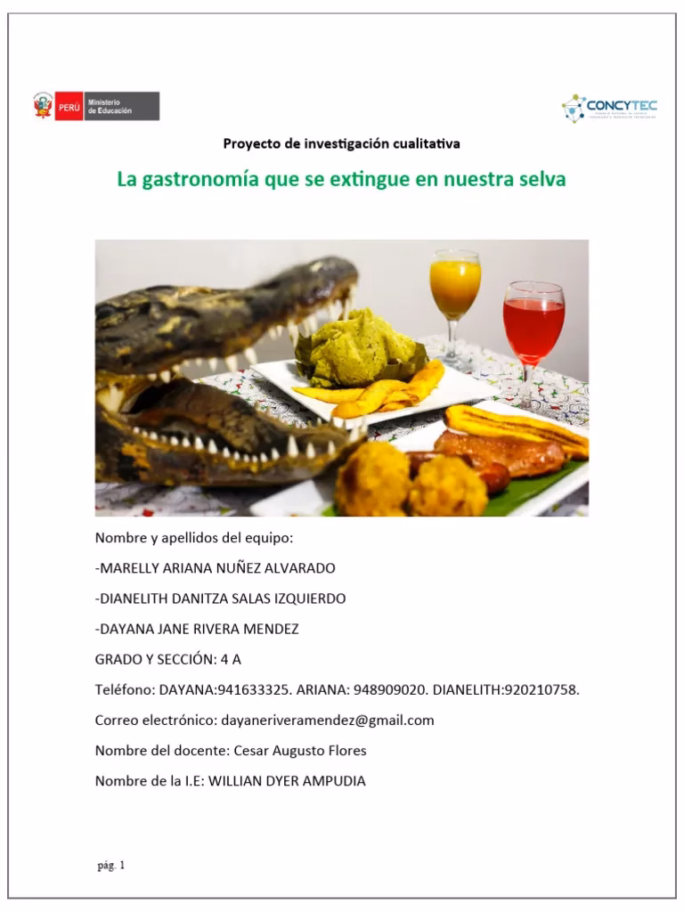 ¿Cuáles son algunos ejemplos de investigación cualitativa?