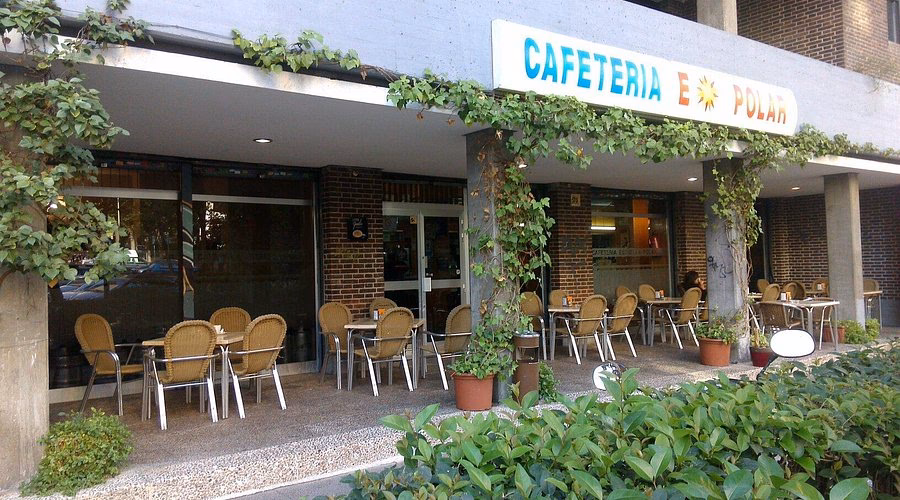 ¿Por qué la estrella polar no se mueve?