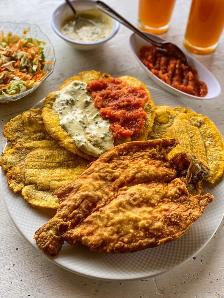 ¿Qué tipo de clima tiene Jardín, Antioquia?