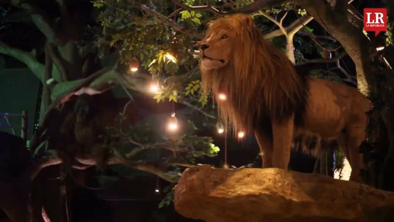 ¿Quién es el dueño de Salvaje Bogotá?