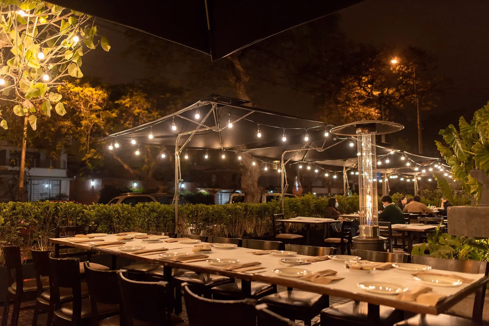 ¿Dónde se originó la vaca Lola?