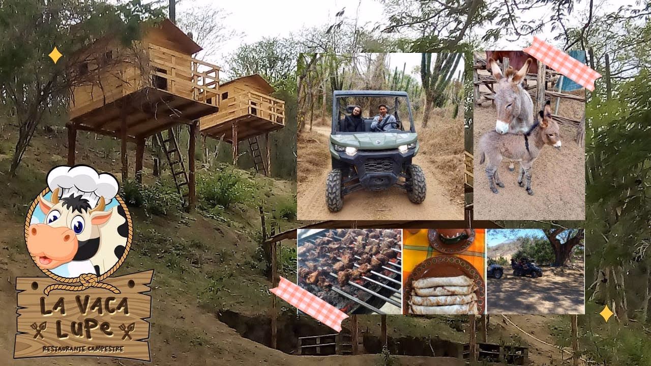 ¿Dónde nació la vaca Lola?