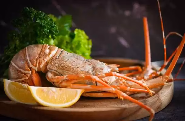 ¿Cuál es la definición de una langosta?