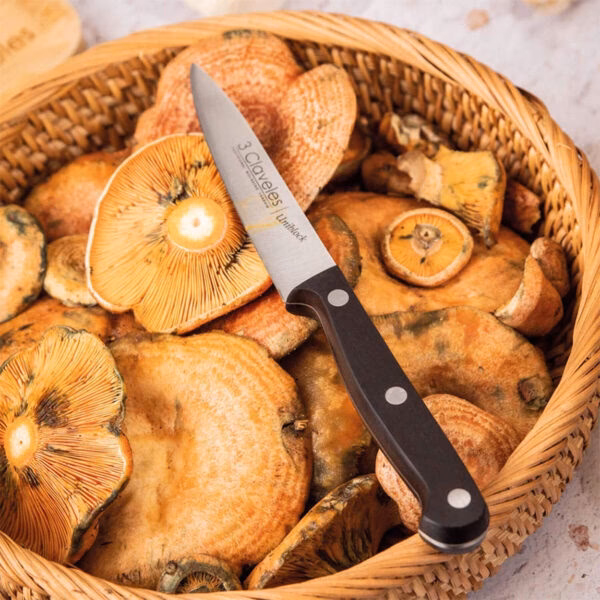 ¿Qué es un legumbrero de cocina?