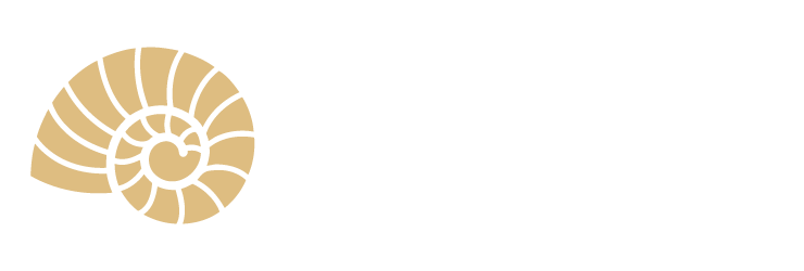 Nautilus