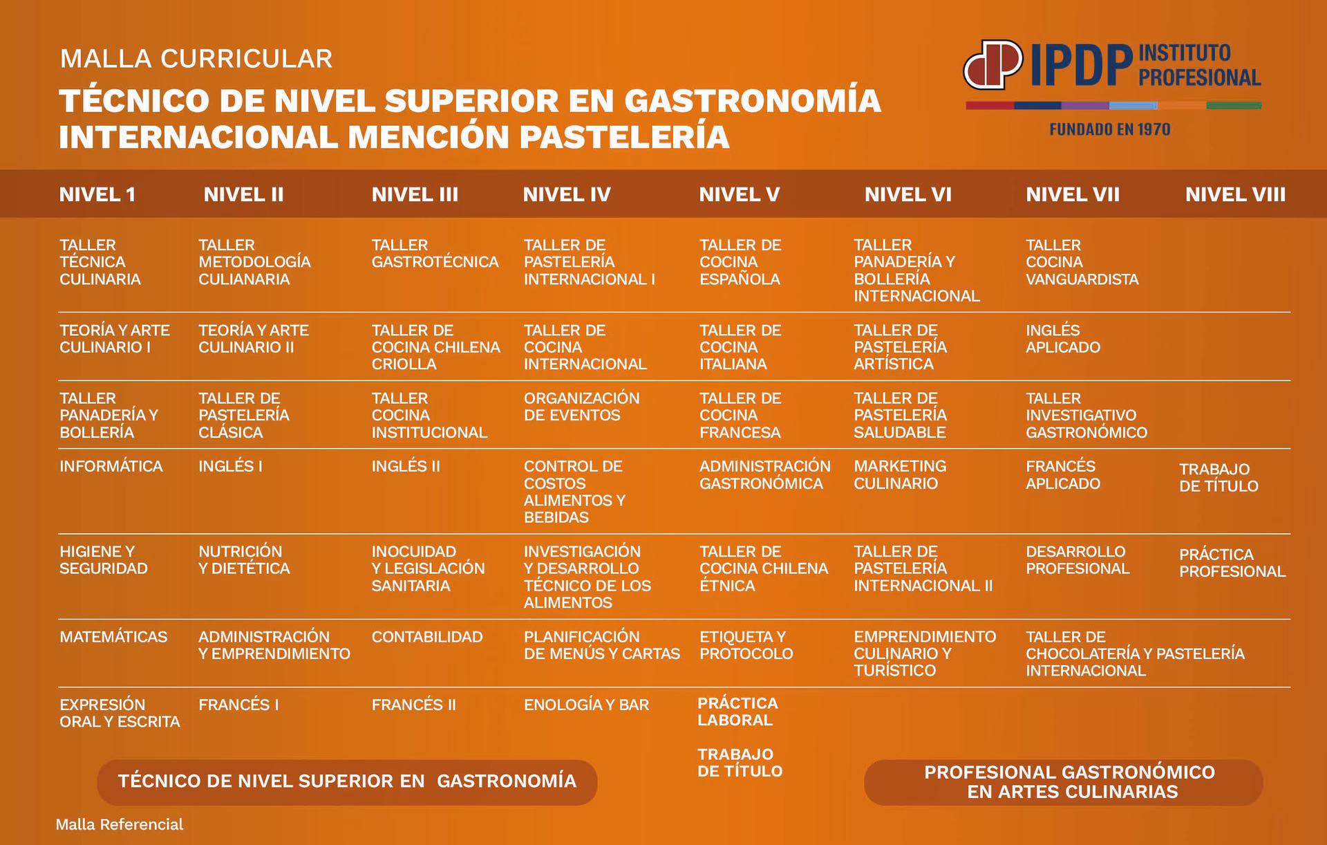 ¿Qué cursos entran en gastronomía?