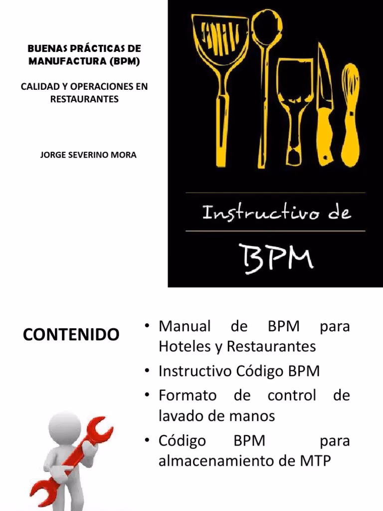 ¿Cuáles son las 10 reglas de oro de las BPM?