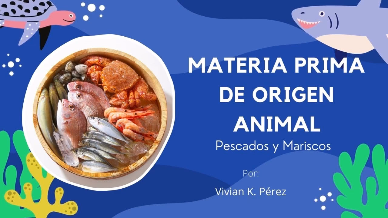 ¿Qué son las materias primas en gastronomía?