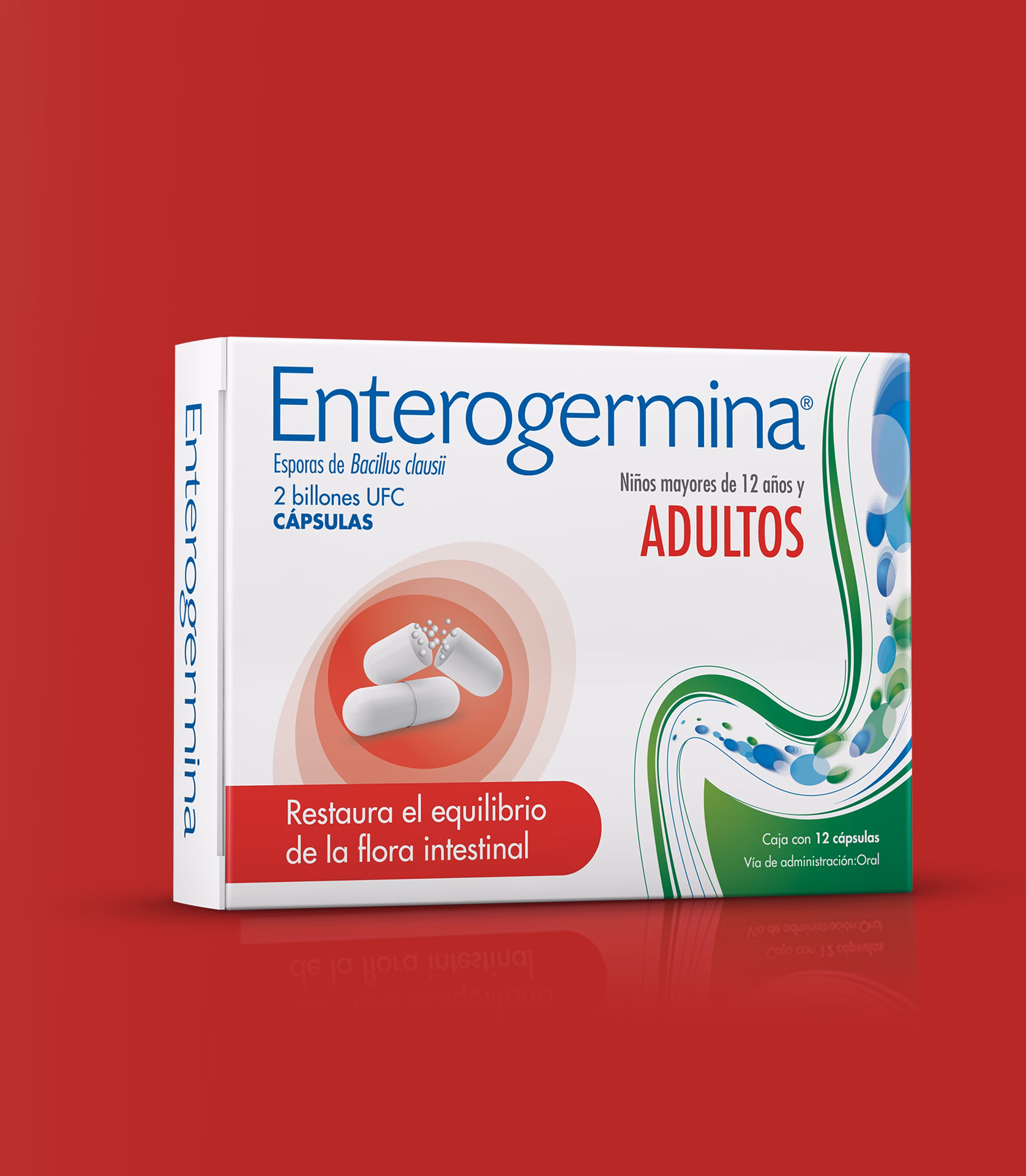 ¿Cómo se llama el medicamento que regenera la flora intestinal?