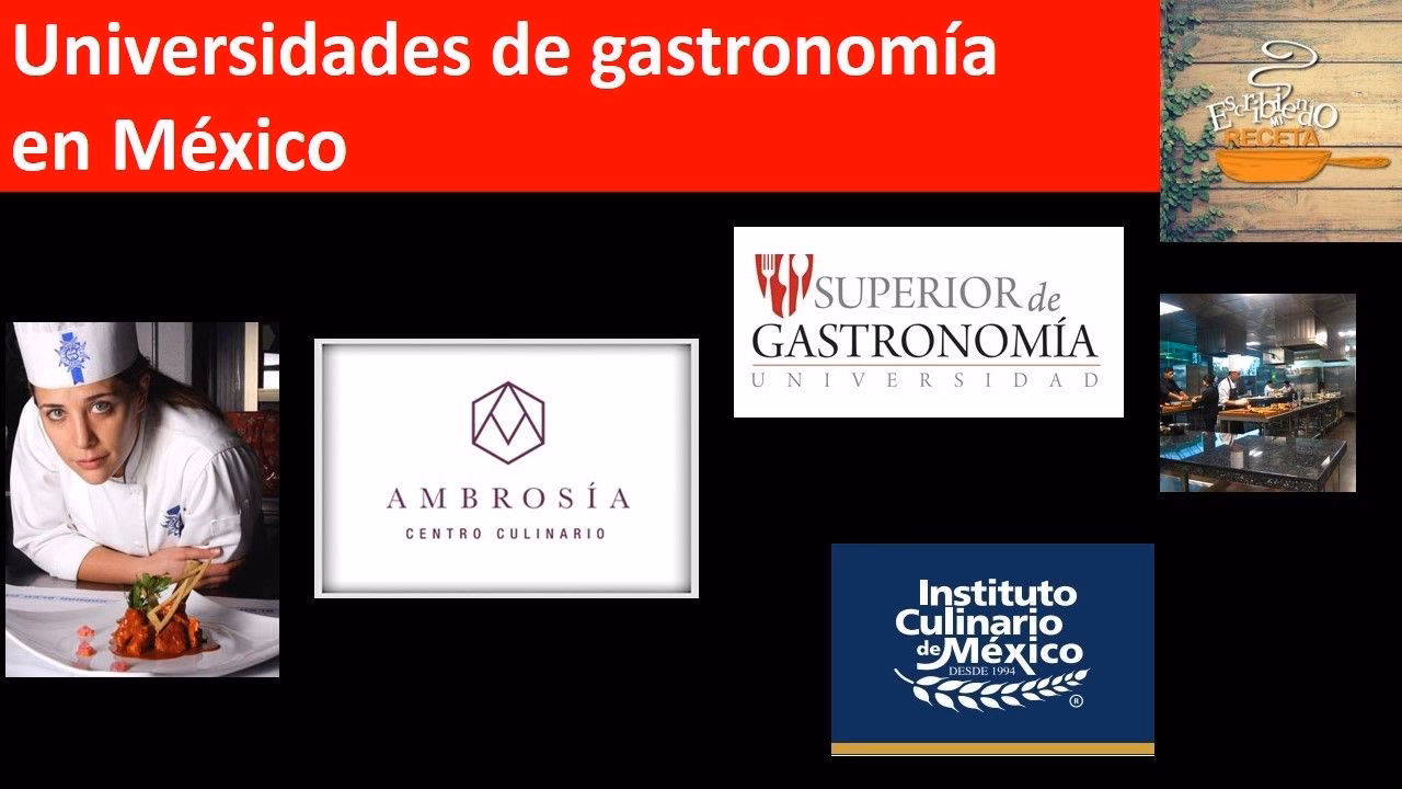 ¿Dónde estudiaron los mejores chefs de México?