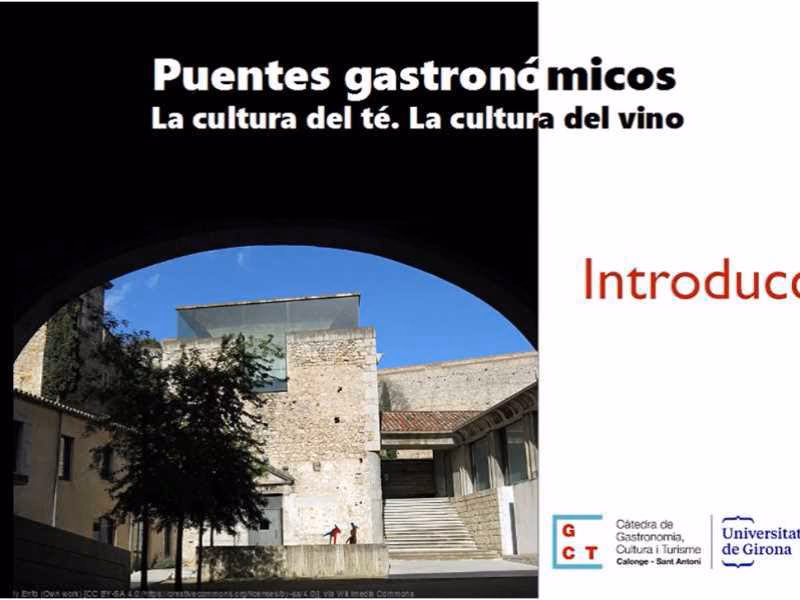 ¿Cuáles son las plataformas gratuitas para MOOC?