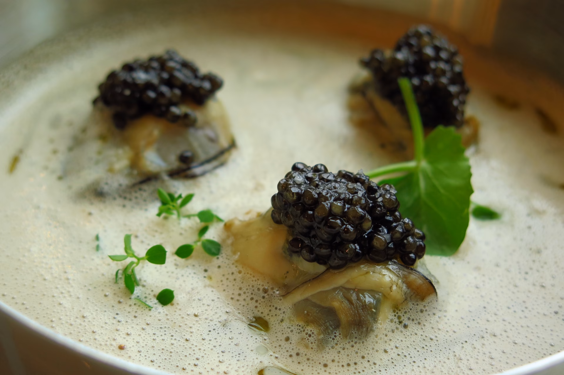 ¿Qué es la carne de Nueva Aquitania?