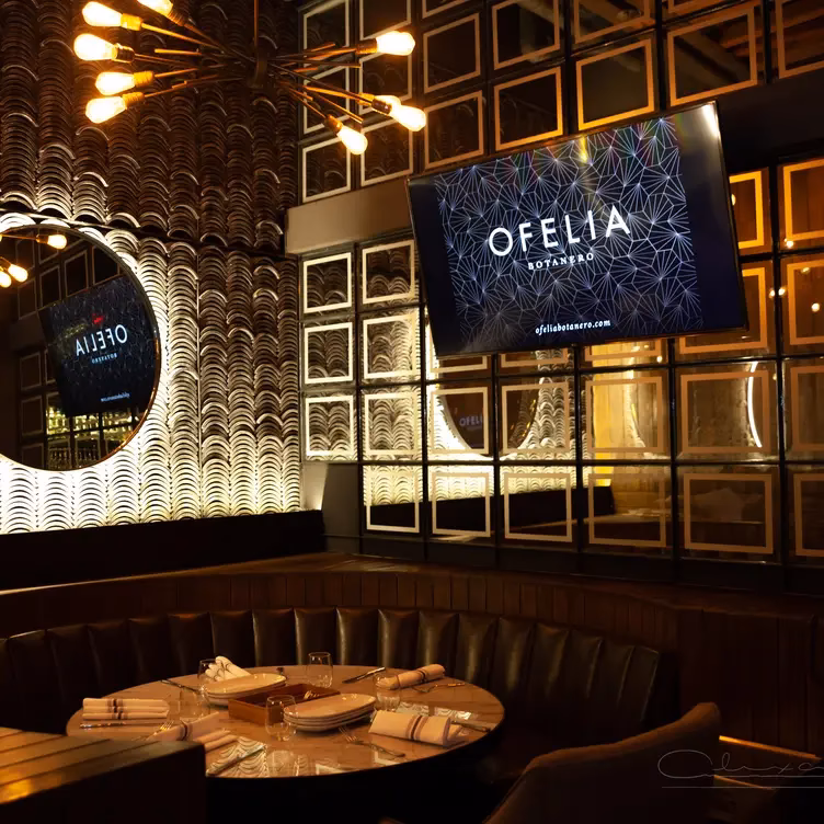 ¿Dónde Ofelia los Andes horario?